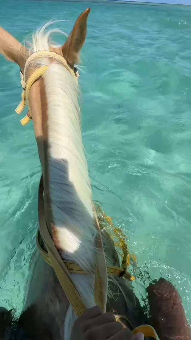 Horse riding in clear shallow water