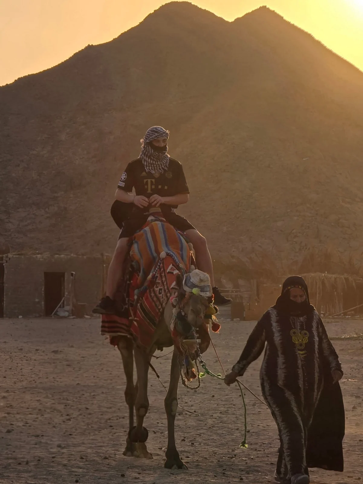 Camel excursion in the Egyptian desert at sunset
